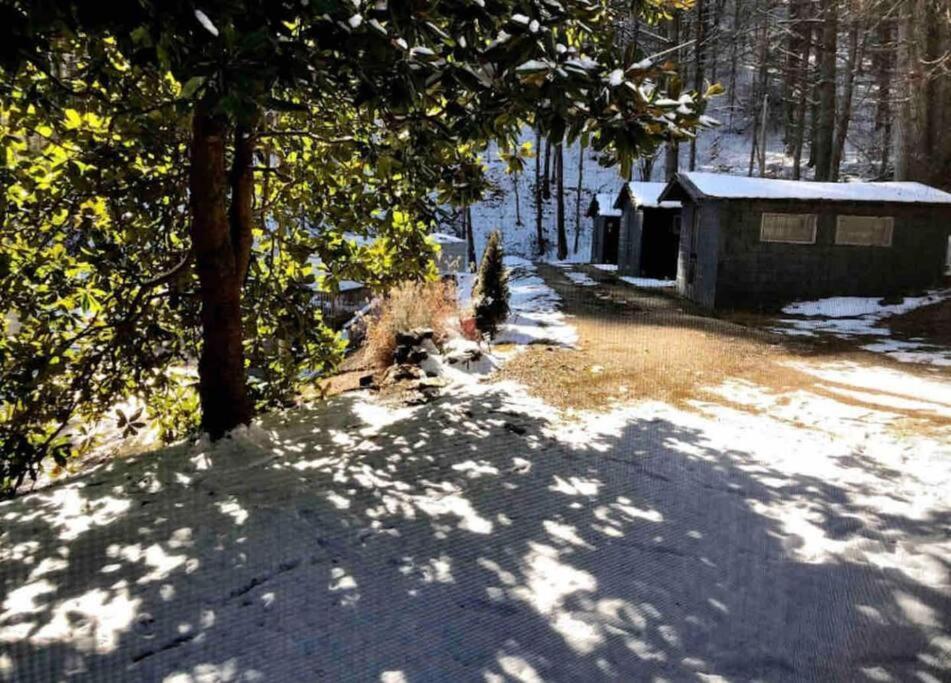 Cabin At The Cove At Watauga Lake บัทเลอร์ ภายนอก รูปภาพ